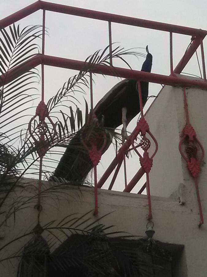 Jaypore House Bed & Breakfast New Delhi Exterior photo